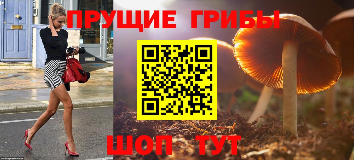 Псилоцибиновые грибы Magic Shrooms Кулебаки