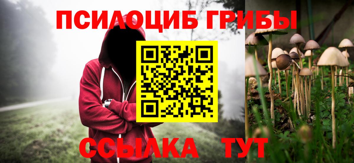 Кулебаки  что такое наркотик  Вход с VPN  Галлюциногенные грибы Cubensis 